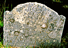 full stone